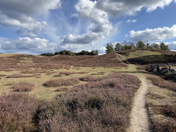 Kumlans naturreservat Blåvingeleden