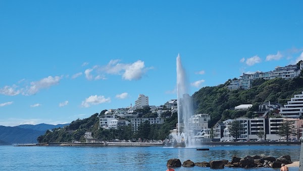 Oriental Bay 4