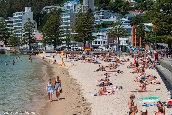 Oriental Bay 3