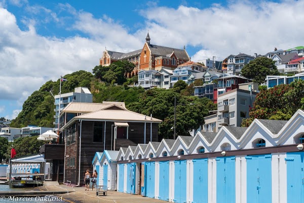 Oriental Bay 2