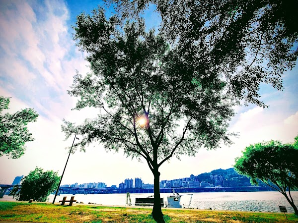 Gwangnaru Hangang Park 2