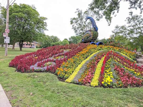 Mosaiculture