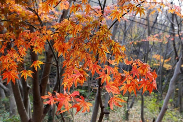 성수산