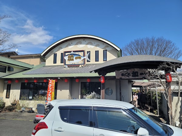 まぐろ 加一 1