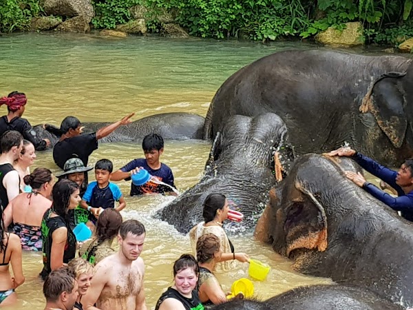 Elephant Jungle Sanctuary Phuket 4