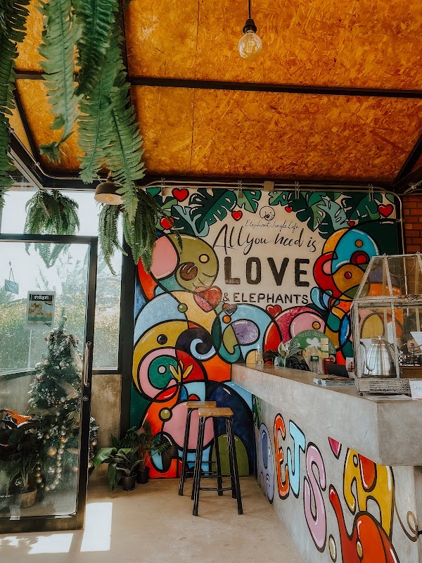 Elephant Jungle Sanctuary Phuket 3