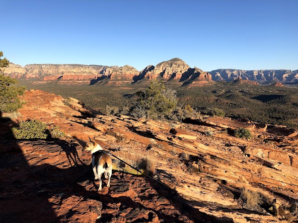 Doe Mountain