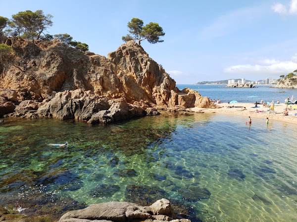 Cala del Pi 1