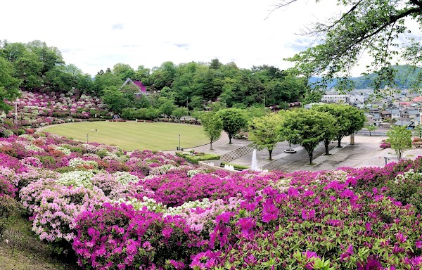 Japan 14