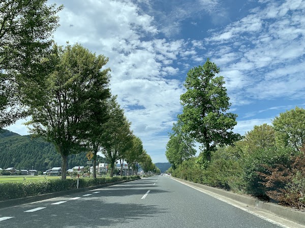Sabae 3