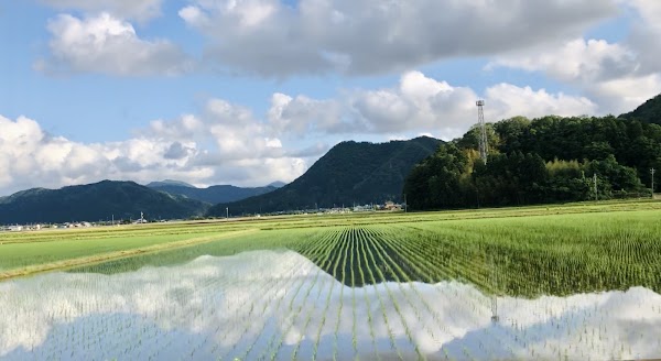 Sabae 2