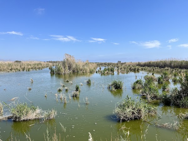 Parco Naturale Molentargius Saline 4