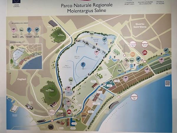Parco Naturale Molentargius Saline 3