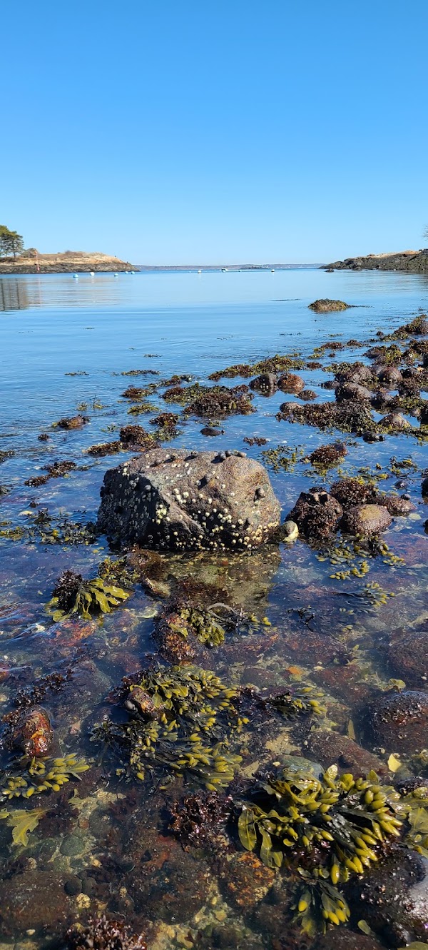 Gerry Island 1