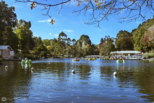 Emerald Lake Park