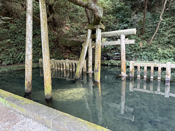Mitarashi Pond 1