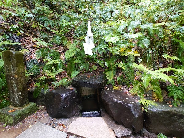 Mitarashi Pond 5