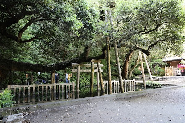 Mitarashi Pond 3