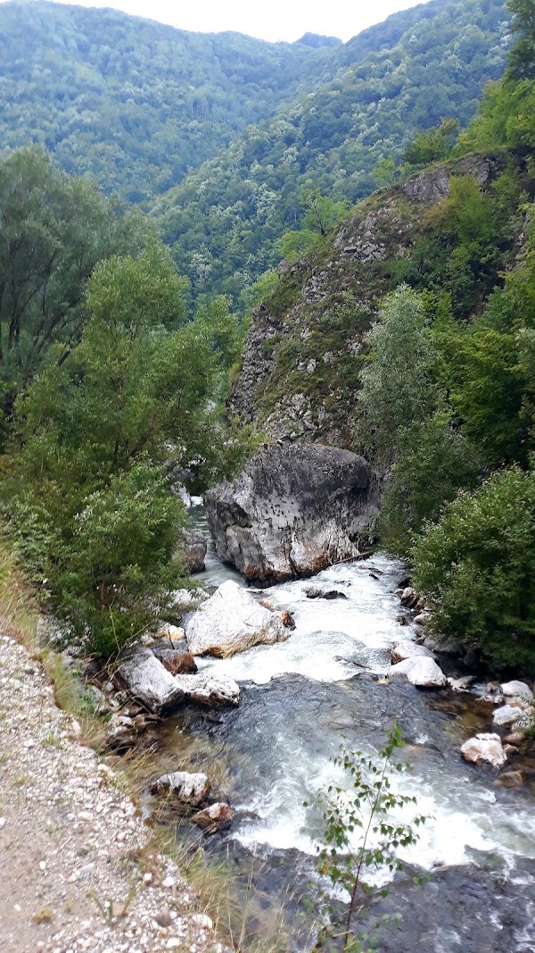 Cerna-Sat
