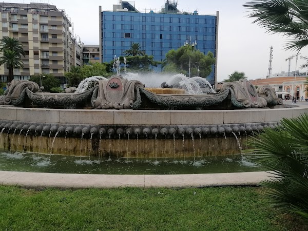 Bari 5