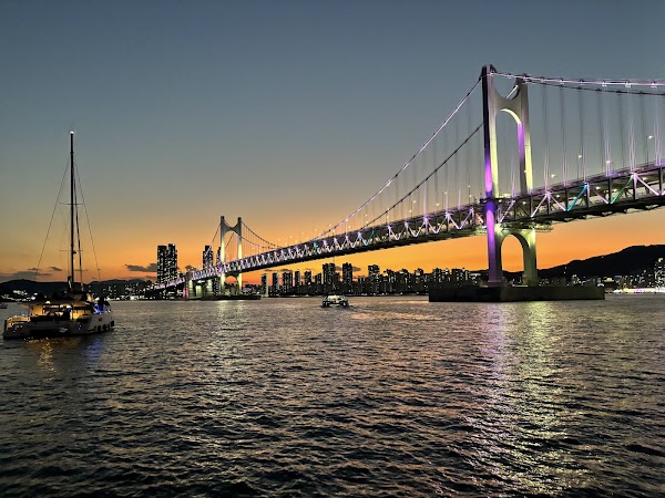 The Yacht 5