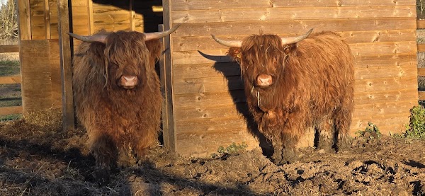 Quex Adventure Farm Park 1