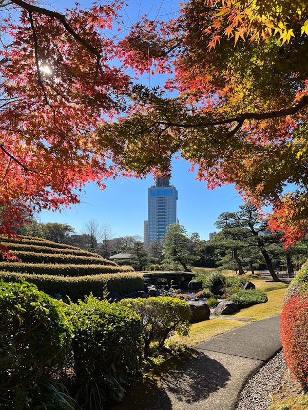 Shizuoka 5
