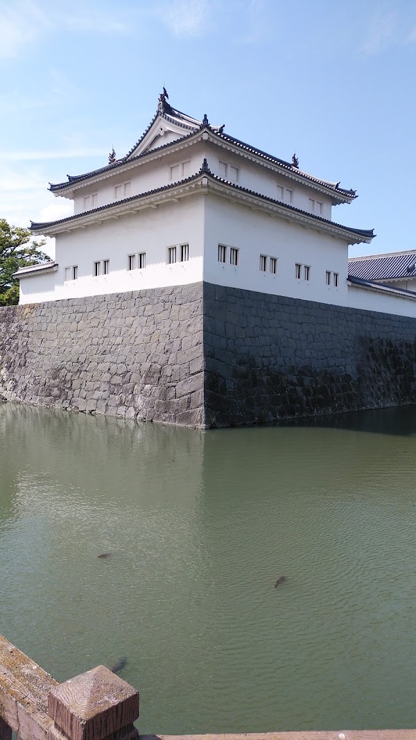 Shizuoka 2