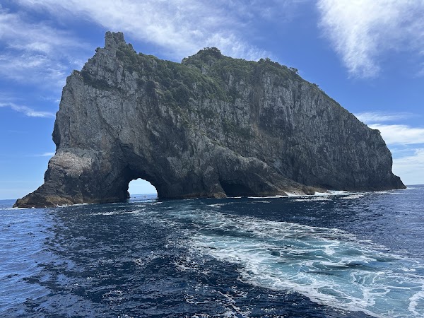 Motukokako Island / Piercy Island
