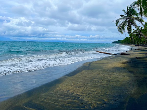Playa Manzanillo 3