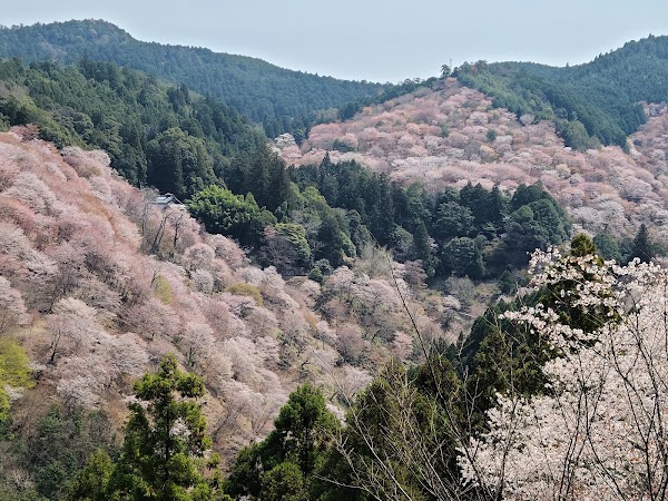 Yoshinoyama