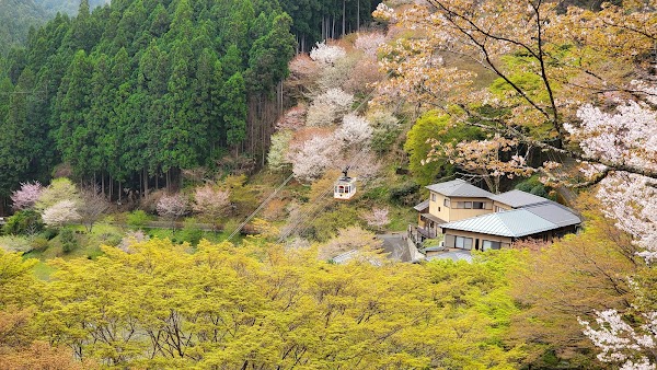 Yoshinoyama 5