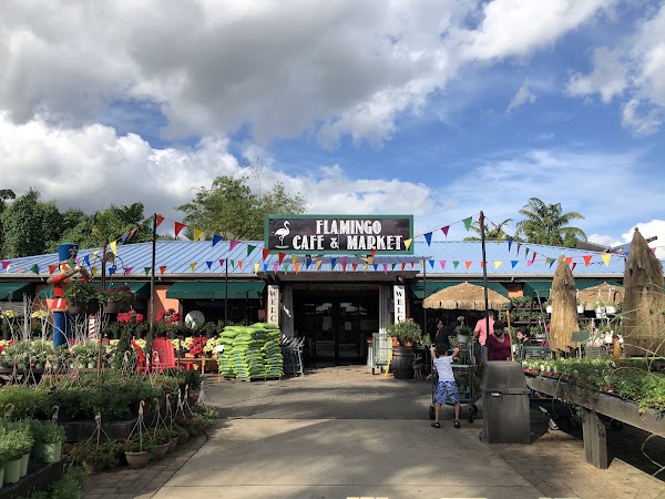 Flamingo Road Nursery 1
