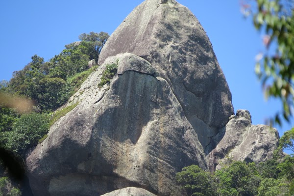 Bico do Papagaio