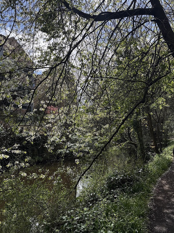 Deans Village – Riverside Hamlet & Water of Leith Walk 2