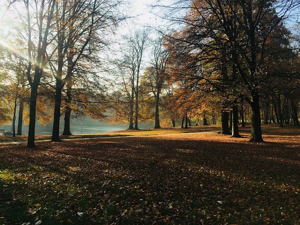 Bois de la Cambre 4
