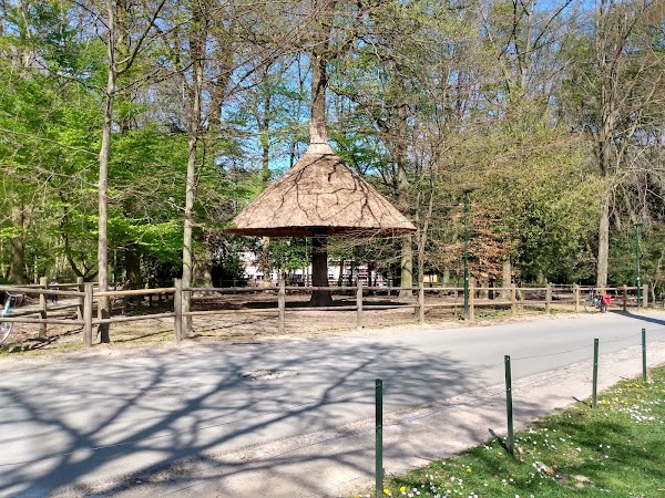 Bois de la Cambre 2