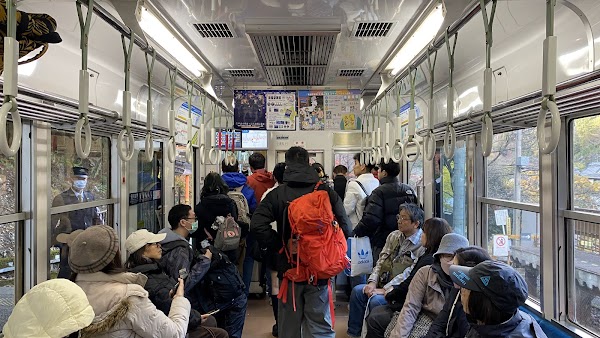 もみじのトンネル 5