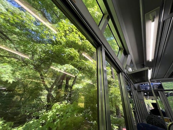 もみじのトンネル 2