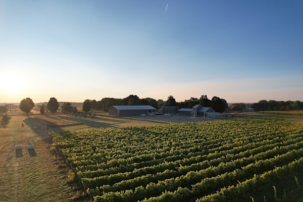 Modales Wines 1