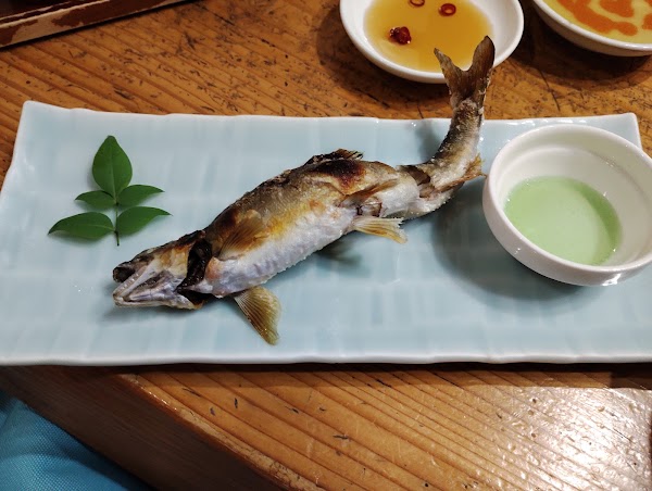 Koi Hiromatsu 4