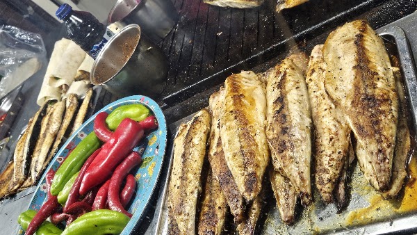 Chef aslan best fish sandwich