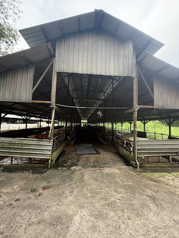 Viknesh Dairy Farm 4