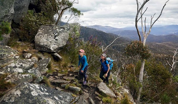 Razorback Ridge Track 1