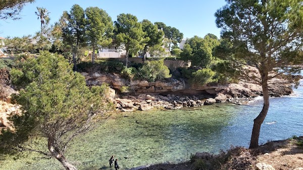 Calafat