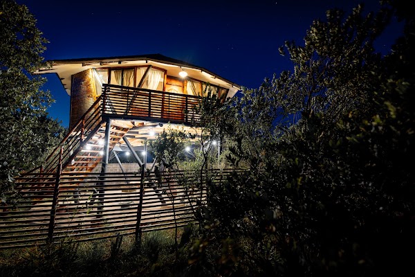Ukiyo House Boutique Hotel 4