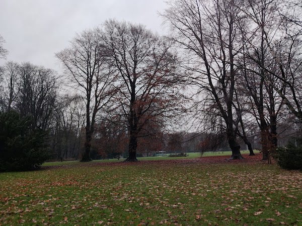 Josaphat Park 4