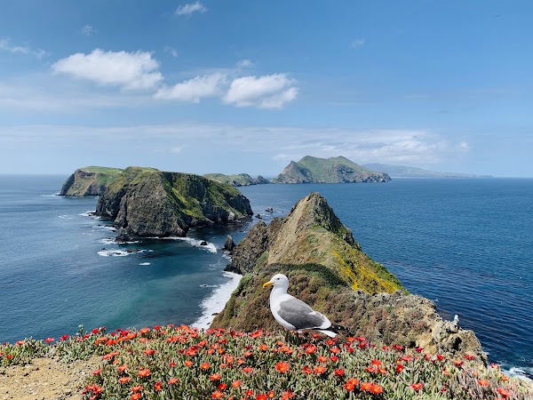 Anacapa Island 4