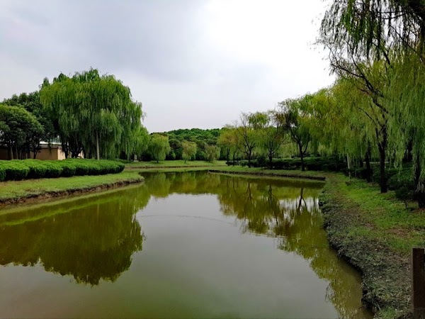 Pujiang Forest Park 5