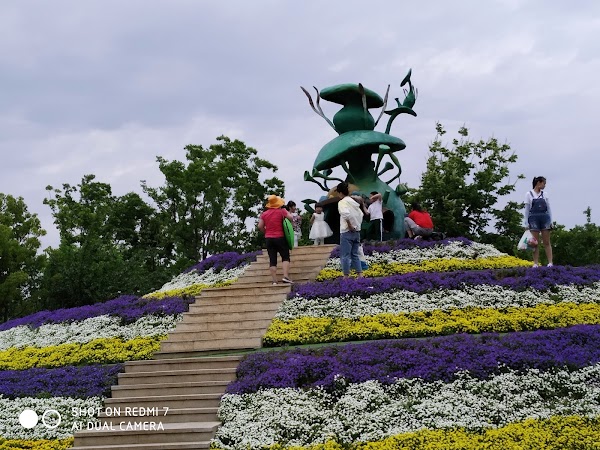 Pujiang Forest Park 3